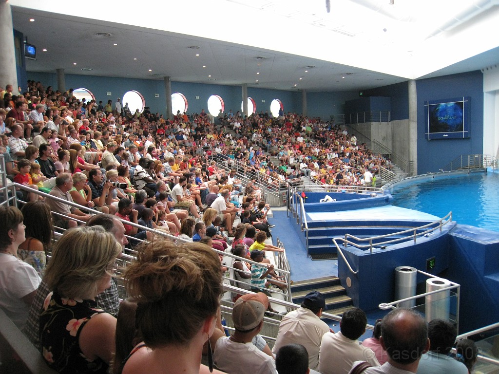 Baltimore MD 2009 1260.jpg - A 4th of July trip to Washington DC in 2009 included a stop in Baltimore MD to see the National Aquarium.